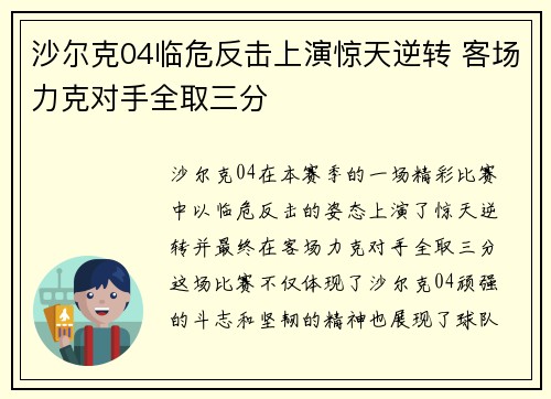沙尔克04临危反击上演惊天逆转 客场力克对手全取三分
